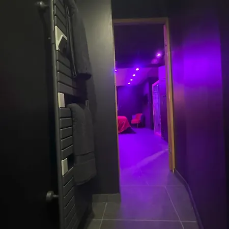 Sweety's Eden Jacuzzi - Prive Sauna Cinema Jardin - Terrasse Centre-ville Villa *